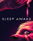 SLEEP AWAKE (2025) [Ru/En] (v.R.1.0-43669 build...