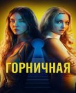 Горничная / The Housemaid (Пол Фиг / Paul Feig)...