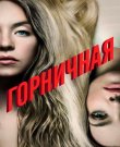 Горничная / The Housemaid (Пол Фиг) [2025, Tриллер...